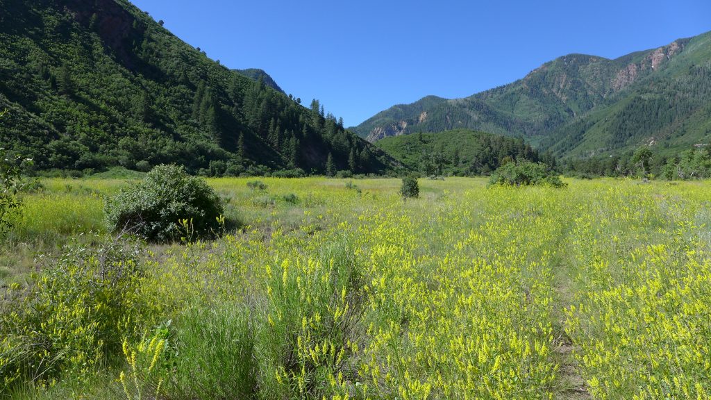 Aspen Journalism: Studies say Janeway site promising for Crystal River backup water supply - Vimarsana News